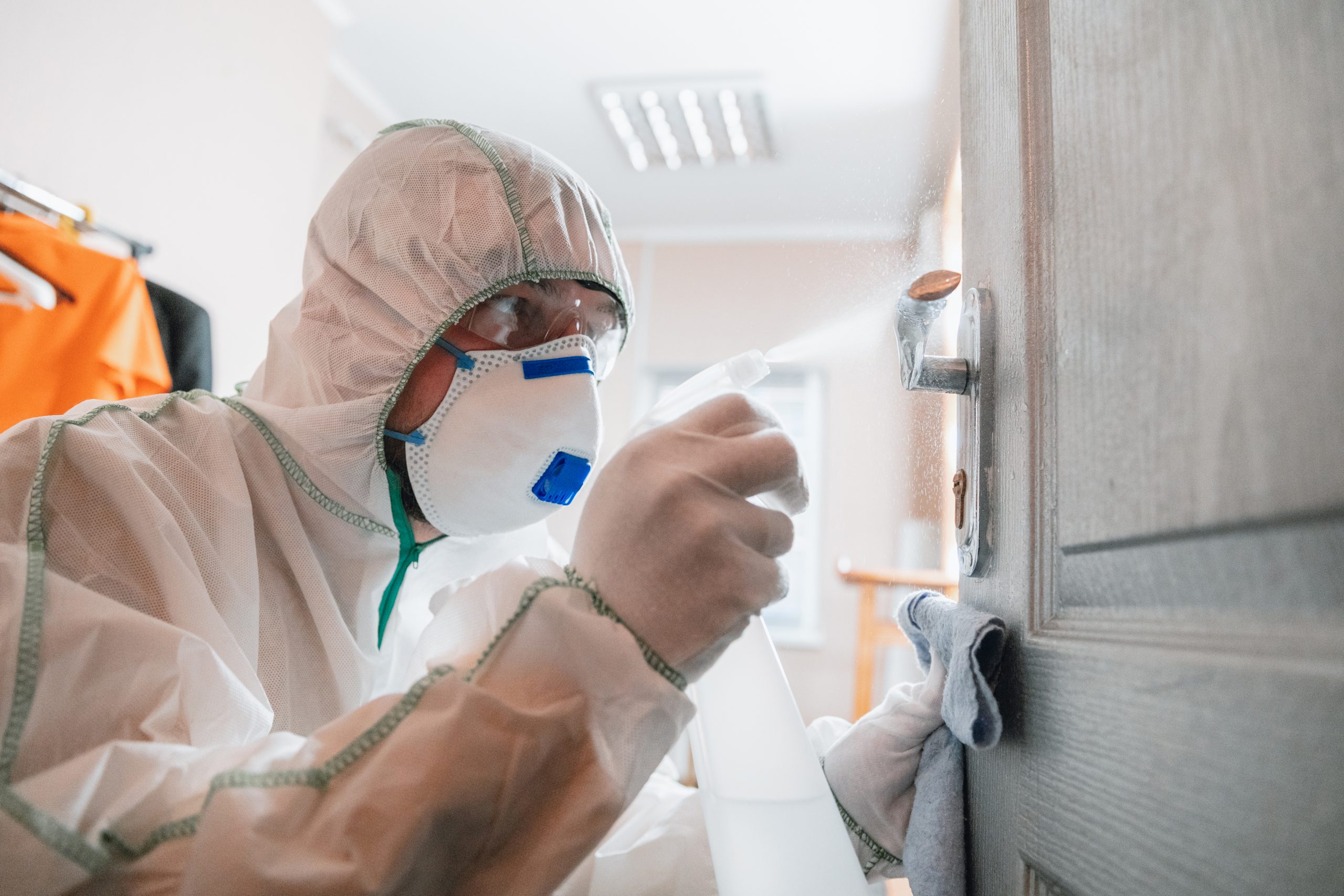 Mold remediation illustration from the existing DRP Commercial website
